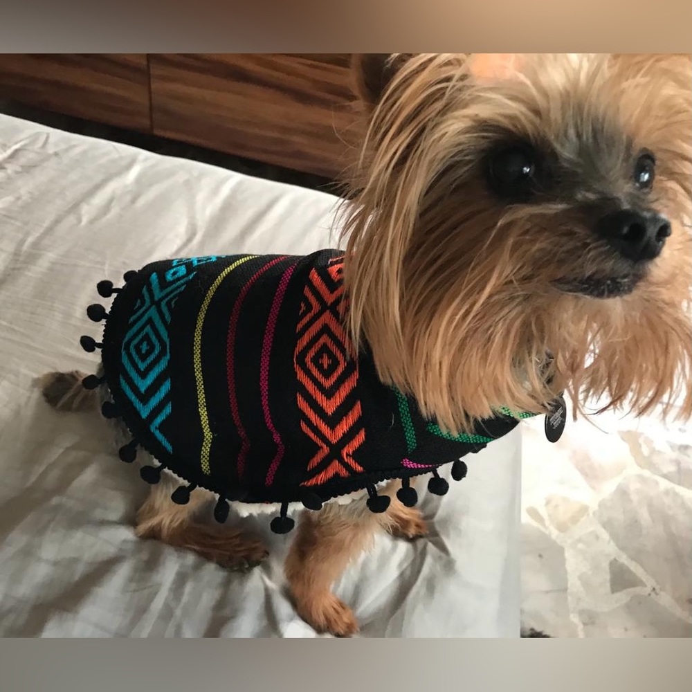 New handmade size XS Poncho for CAN/CAT